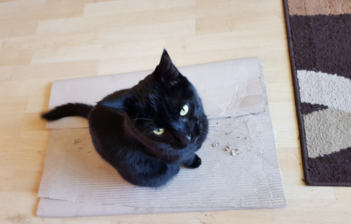 Avonturen met Smokey